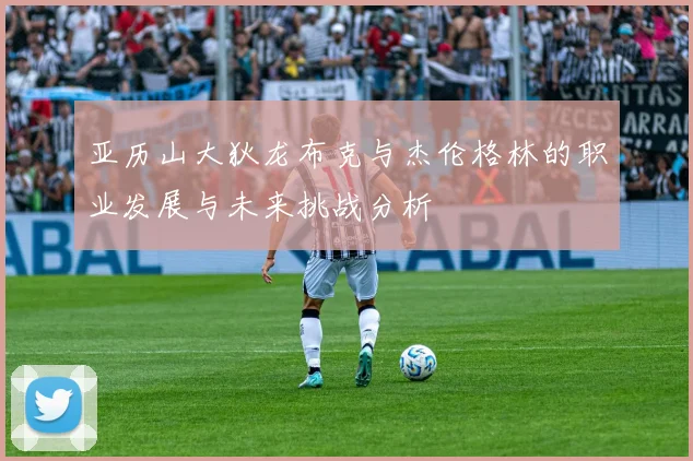 亚历山大狄龙布克与杰伦格林的职业发展与未来挑战分析