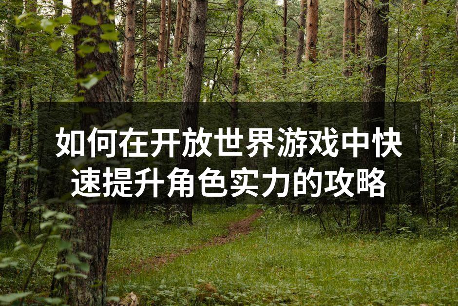 如何在开放世界游戏中快速提升角色实力的攻